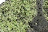 Peridot in Basalt - Arizona #247739-1